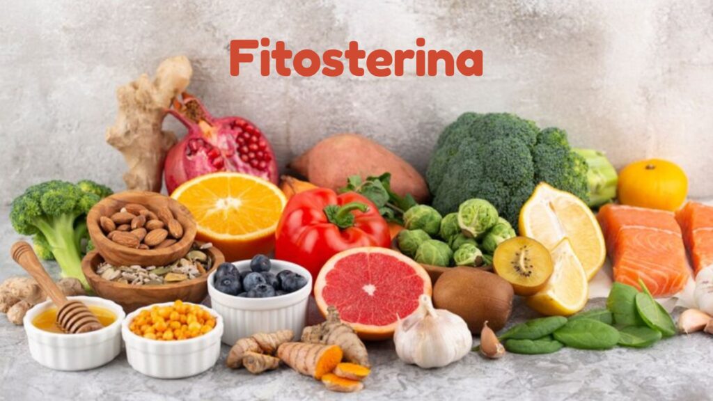 Fitosterina Examining the Potential Advantages for Health