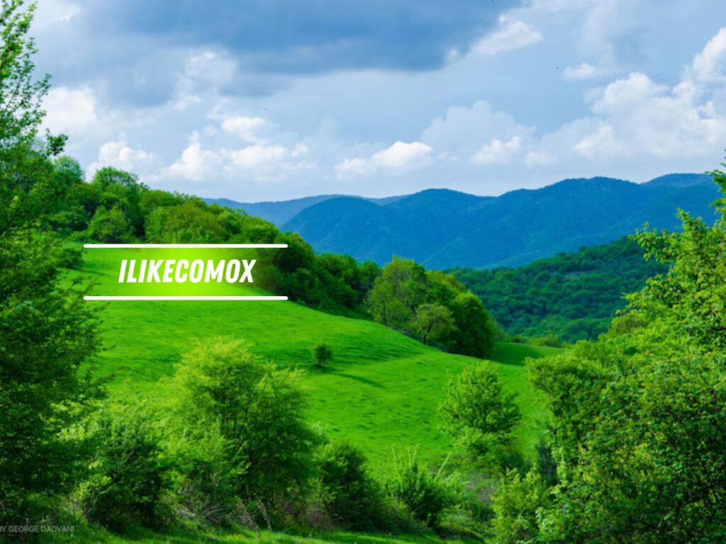 Ilikecomox All-In-One Place for Efficacy